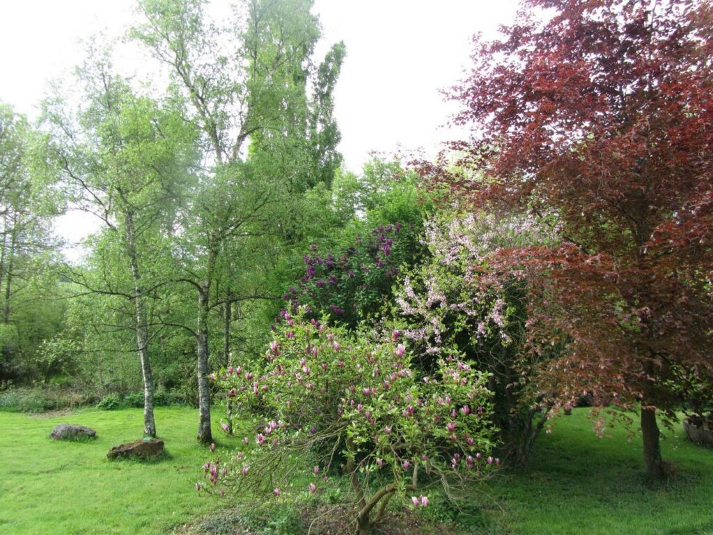 gite les magnolias-en pleine nature